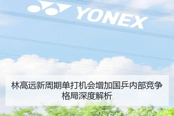 林高远新周期单打机会增加国乒内部竞争格局深度解析